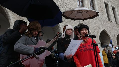 TEET KORSTEN ⟩ Lausvihmas ja kivilinnas metsa kaitsmas