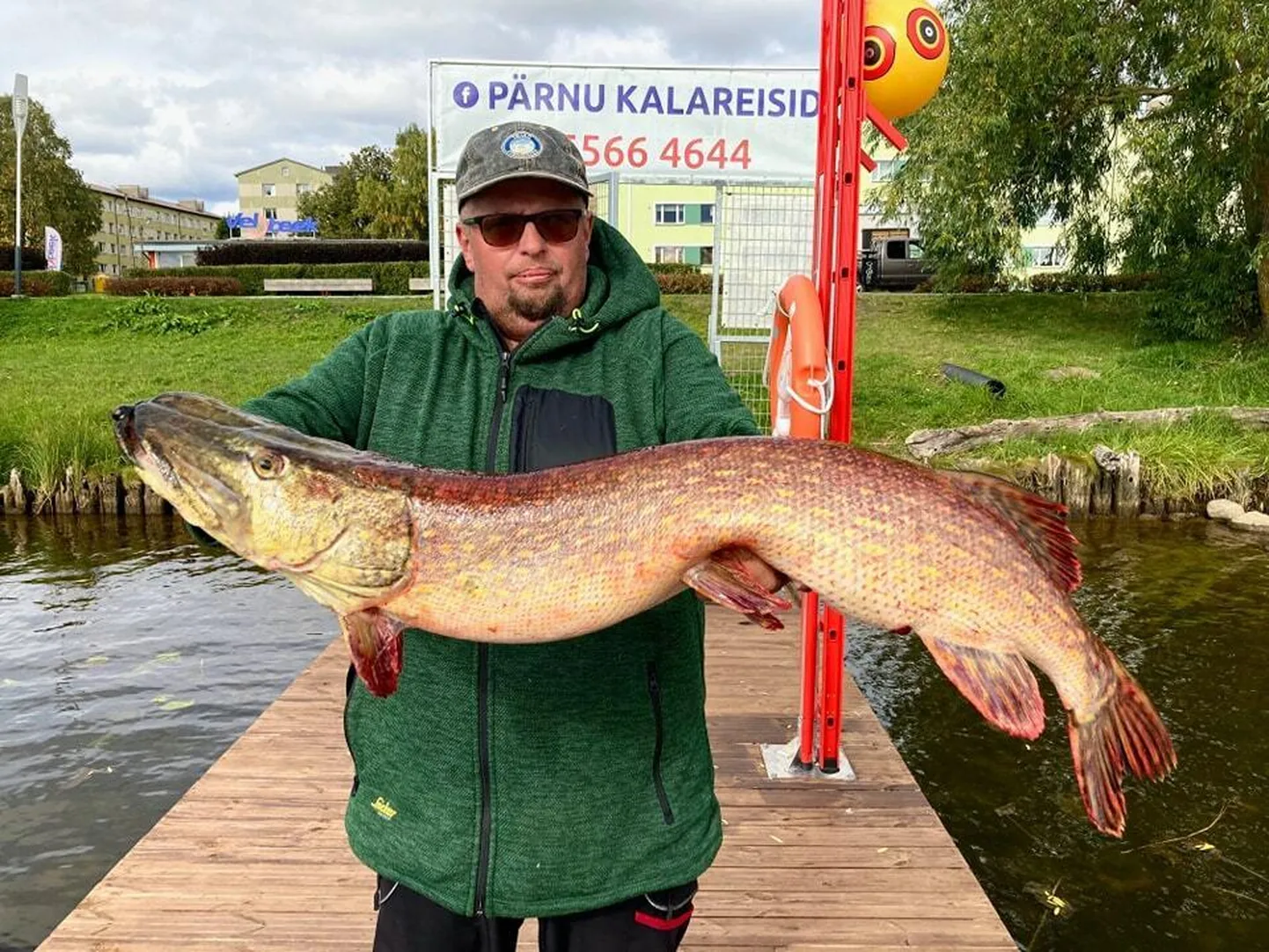 Mõõtmisel osutus haugi pikkuseks 104 sentimeetrit ja kaaluks seitse ja pool kilo, kuigi kala kätte saanud Jaan Andressoo arvas esialgu, et mass võib jääda kümne kilo kanti.
