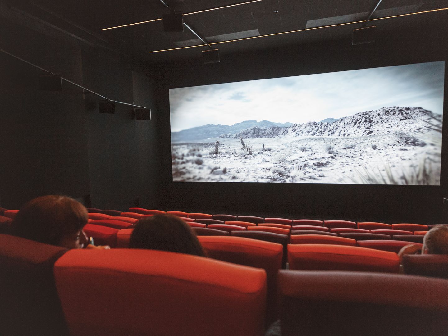 В Нарве в кинокомплексе "Apollo" имеются три зала в общем на 387 мест
