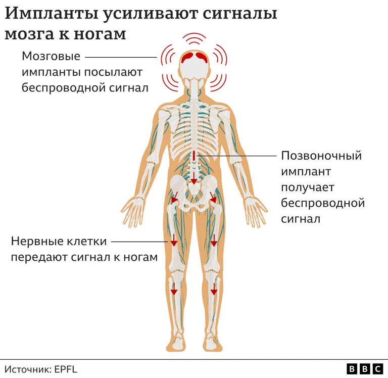 Фото статьи