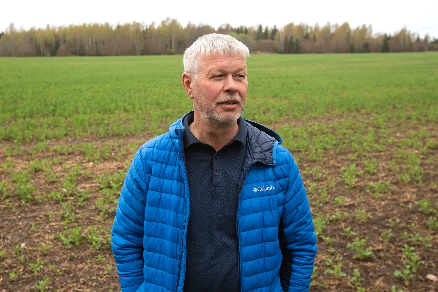 KEVAD KAVANDIS: Viljakasvataja Aavo Aljas loodab, et maikuu pakub viljadele kosutavat vihma, edasi oleneb kõik juba põllumehe enda oskustest ja rahakotist.