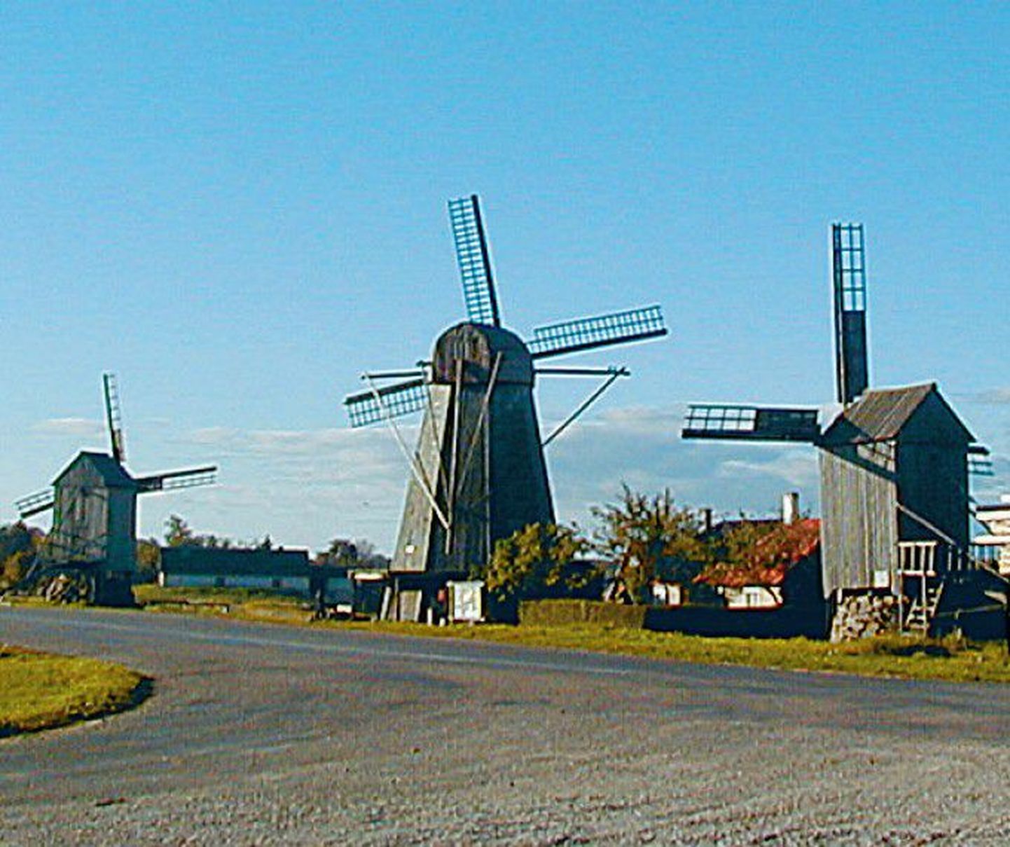 Angla tuulikud Saaremaal..