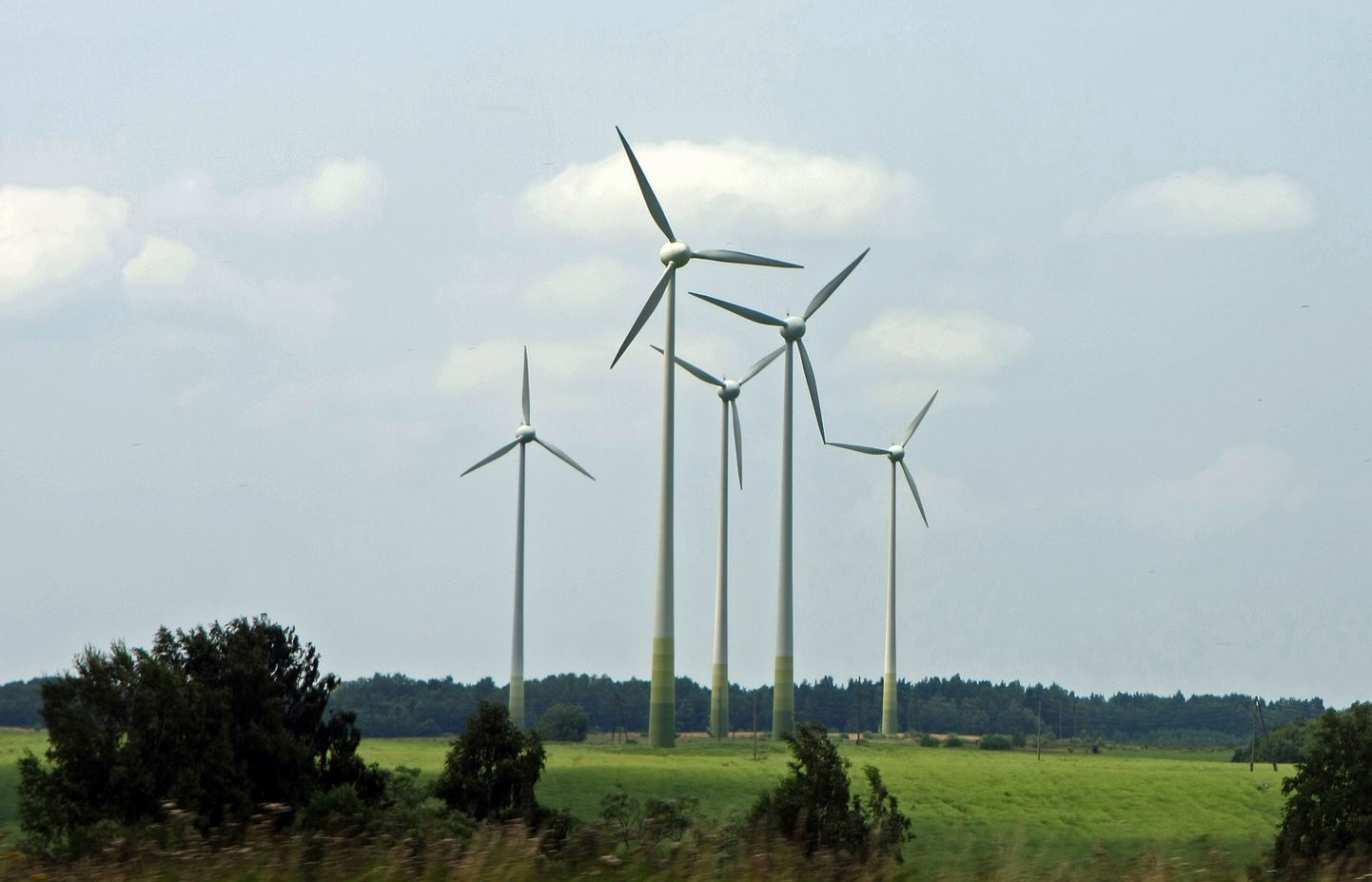 Ветряные генераторы в Гробине