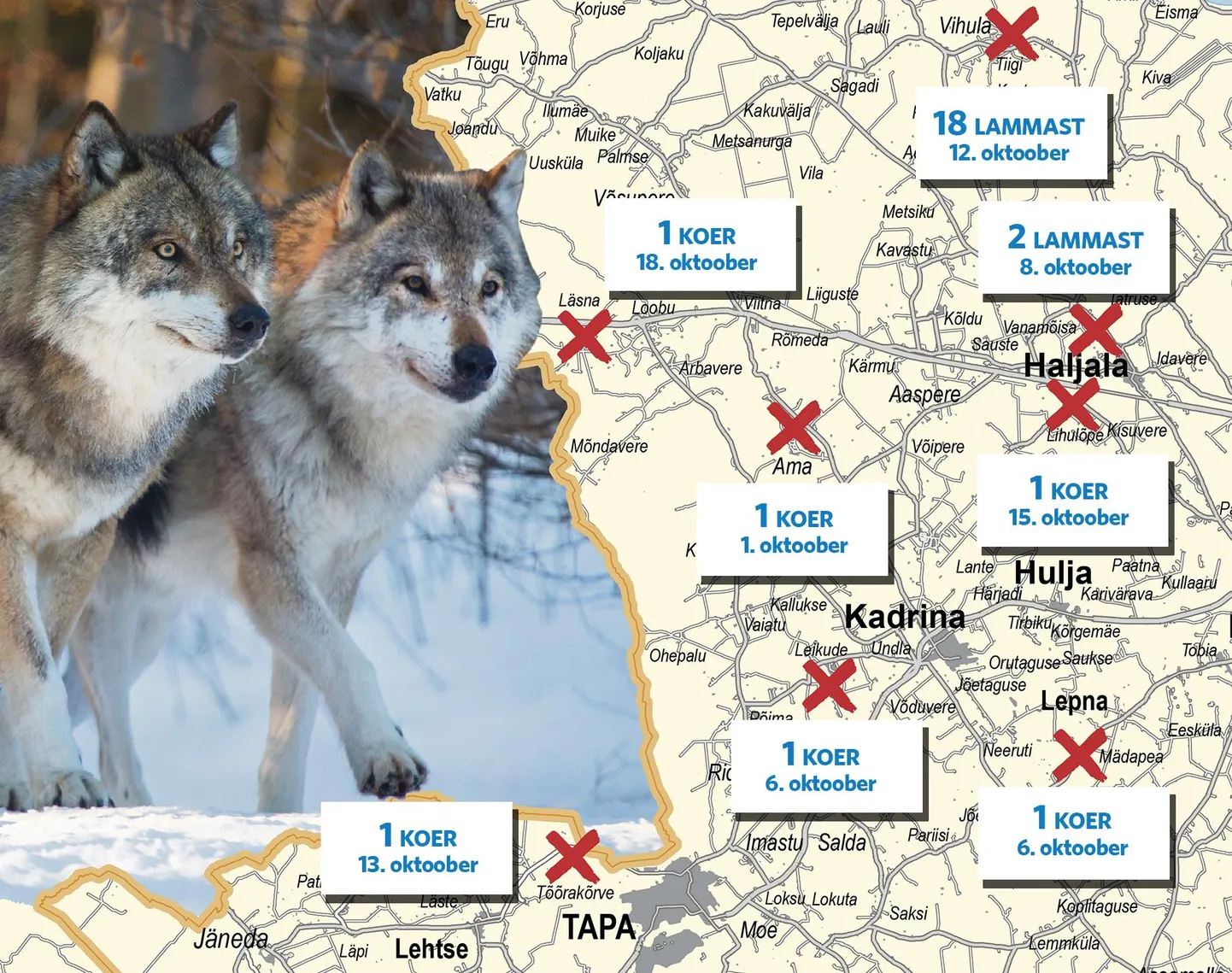 Huntide rünnakud Lääne-Virumaal oktoobris.