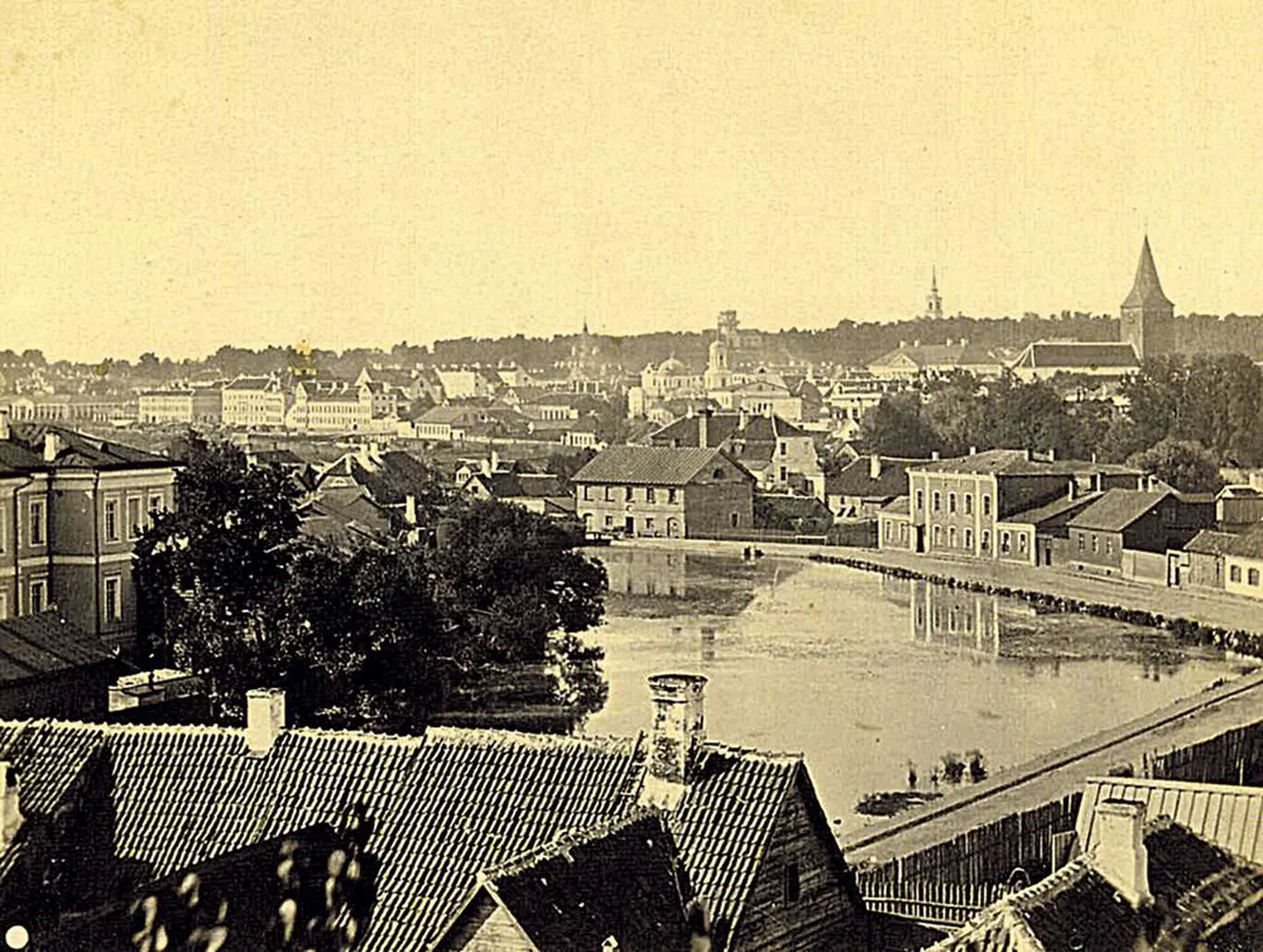 Meltsiveski vaade 1900. aasta paiku. Ees vasakul tiigi kaldal veterinaarinstituudi hooned (suured kivihooned). Kauguses Jaani kirik (paremal) ja veel kaugemal Maarja kiriku torn.