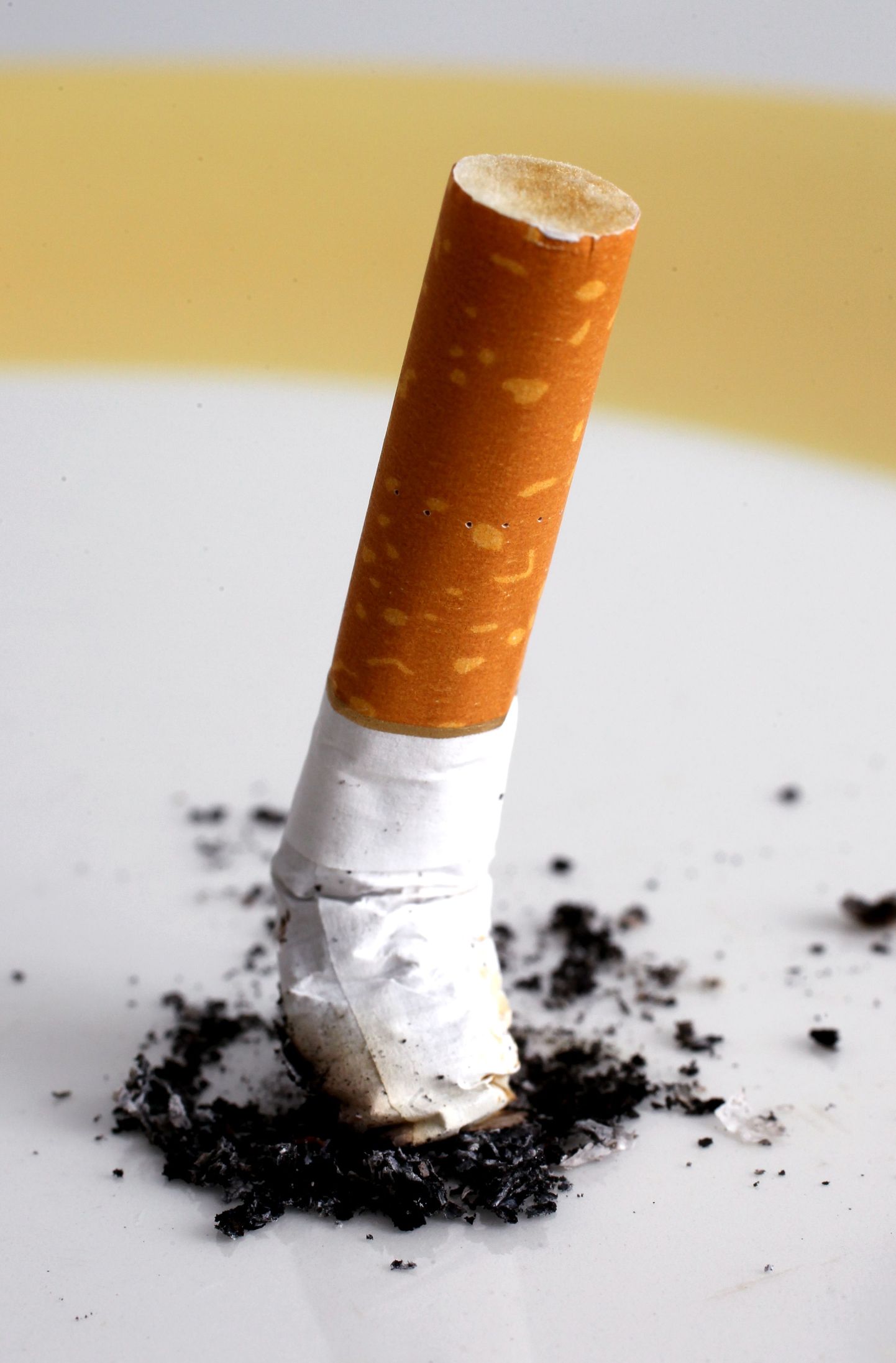 TLNPM1: KONI:TALLINN, EESTI, 03APR13
Tubakas; suitsetamine; koni.
th/FOTO TOOMAS HUIK/ POSTIMEES