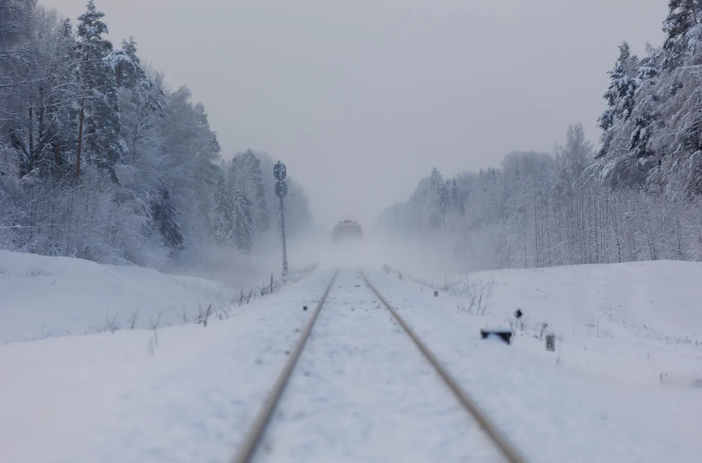 Elroni Tartu-Valga reisirong Keeni ja Tsirguliina vahelisel lõigul.