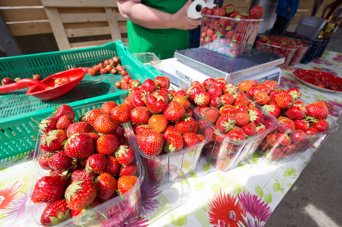 Tööjõupuudus kergitab ilmselt ka maasikate kilohinda.