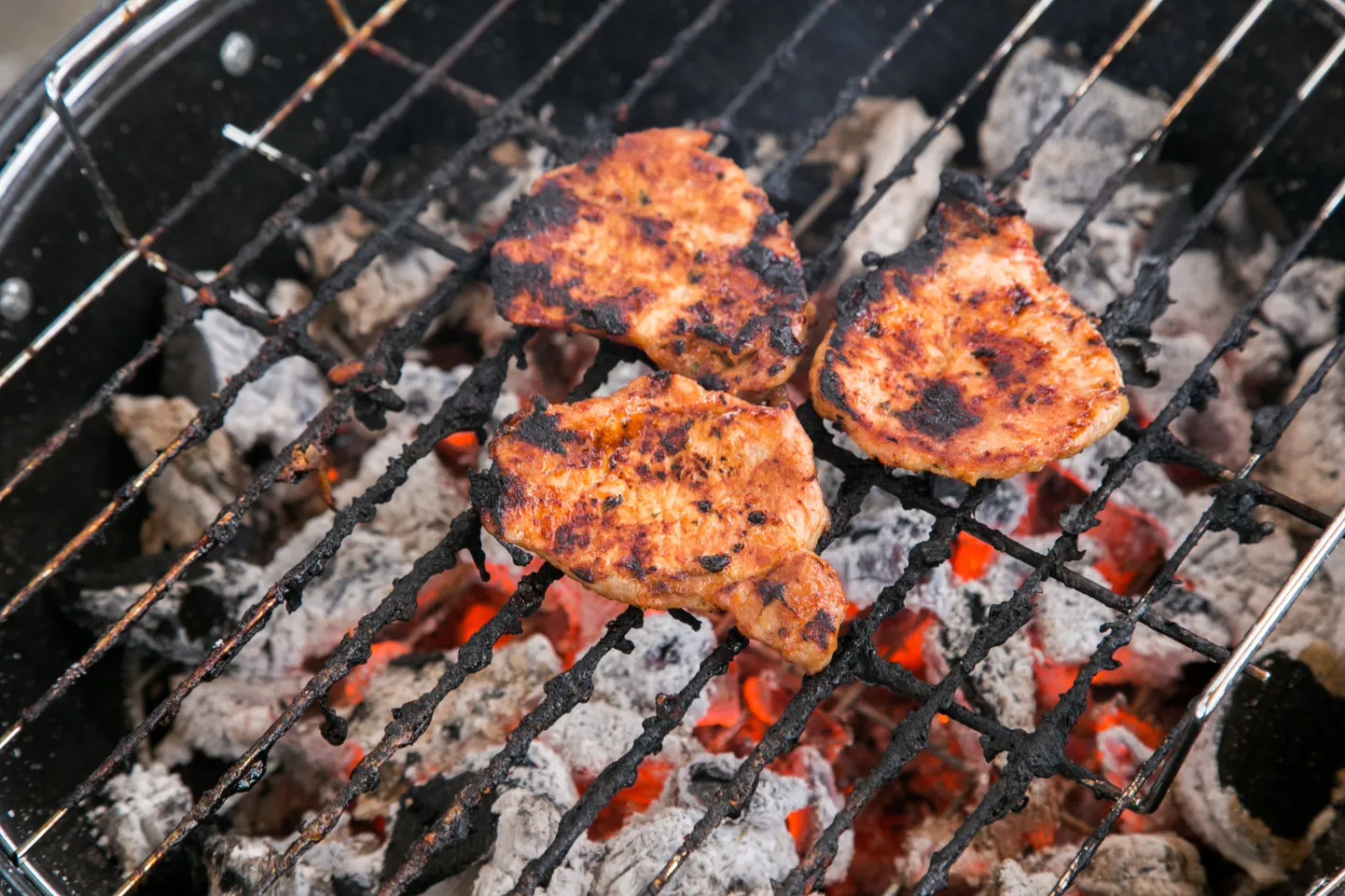 Grill. Foto on illustratiivne.