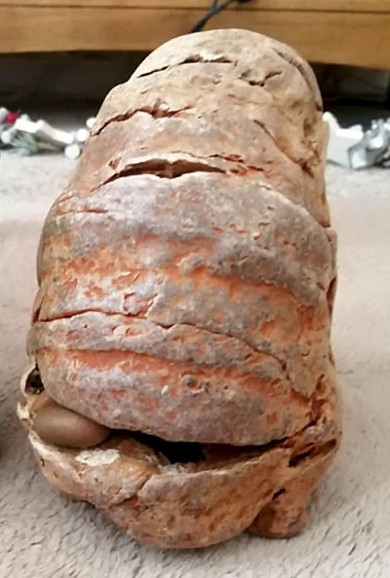 Asjatundjad pidasid rannalt leitud fossiili vaala okseks.