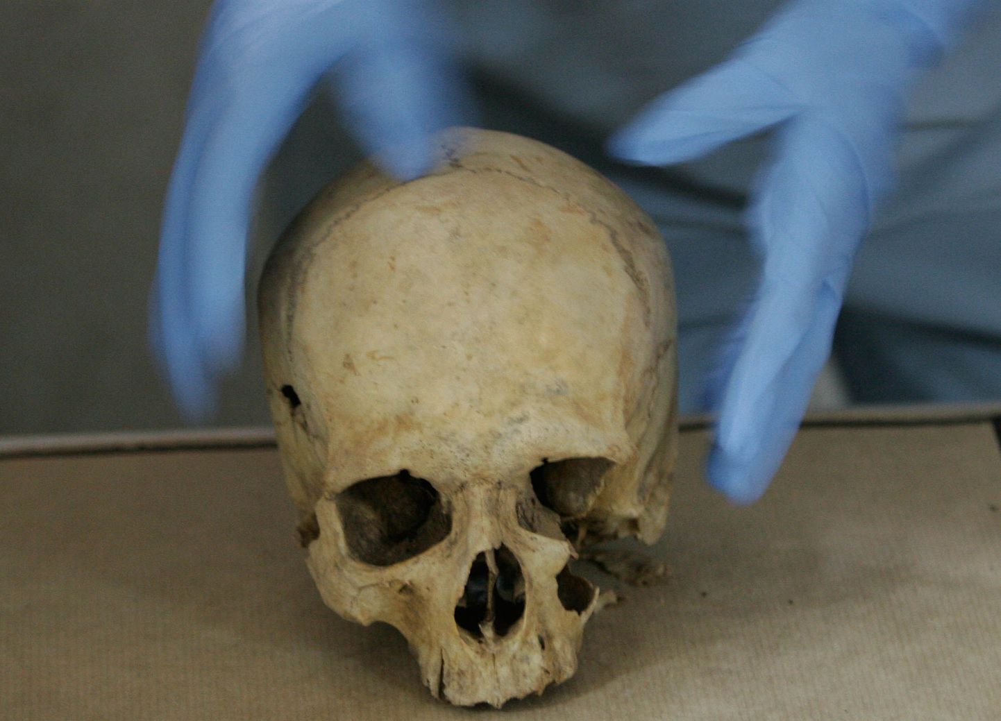 Asiaadi skeleti leidmine näitas, et roomlastel olid laiad kontaktid