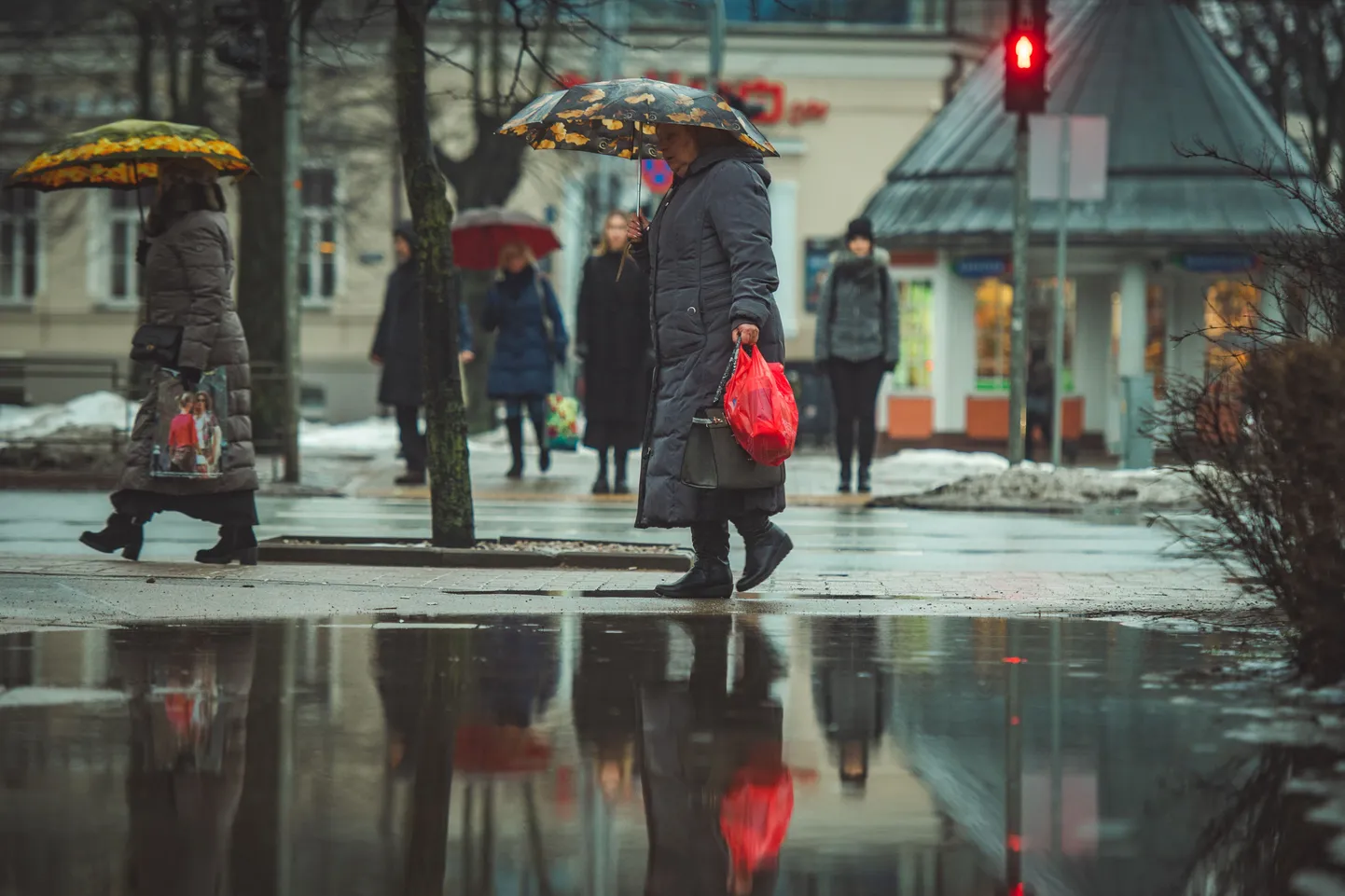 Raksta foto
