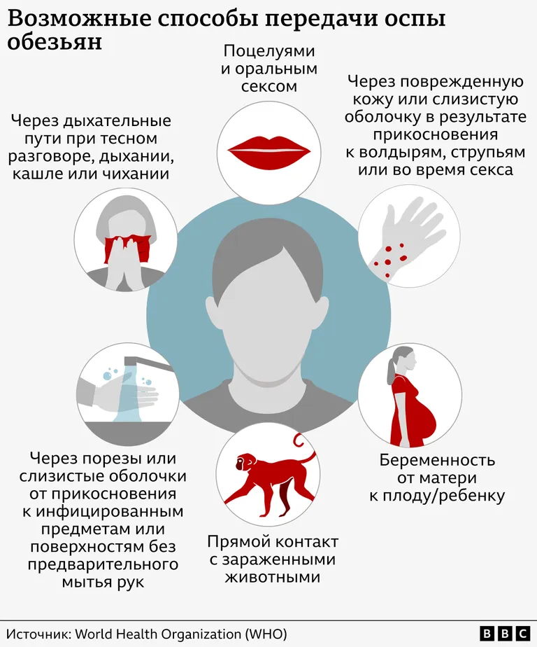 Фото статьи