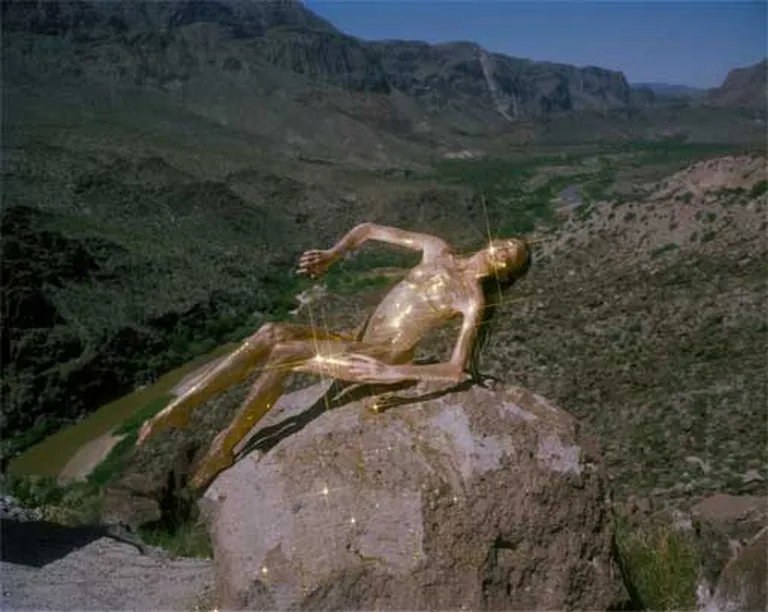 «Synchrodogs»