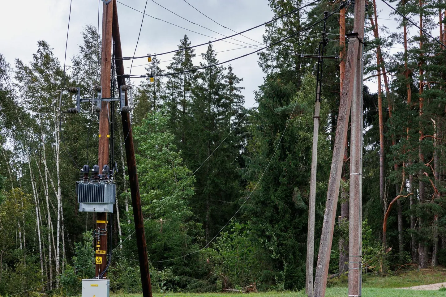 Möödunud nädalal Lõuna-Eestis möllanud torm viis paljudest kodudest voolu ja tekitas elektrifirmale rohkesti tööd. Kohati takerdus ka info liikumine.