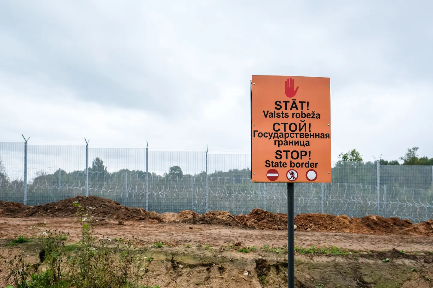 Raksta foto