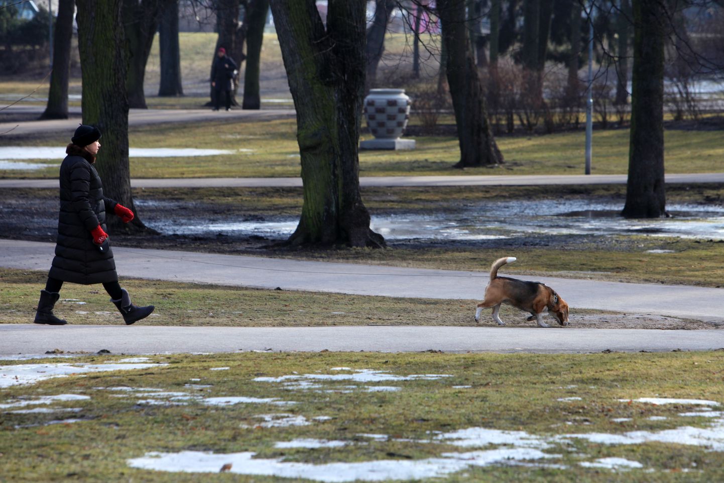 Sieviete ar suni pastaigājas Kronvalda parkā.