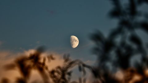 Astrological Synastry: Through Difficulties Towards Clarity: Personal Relationships May Temporarily Cool