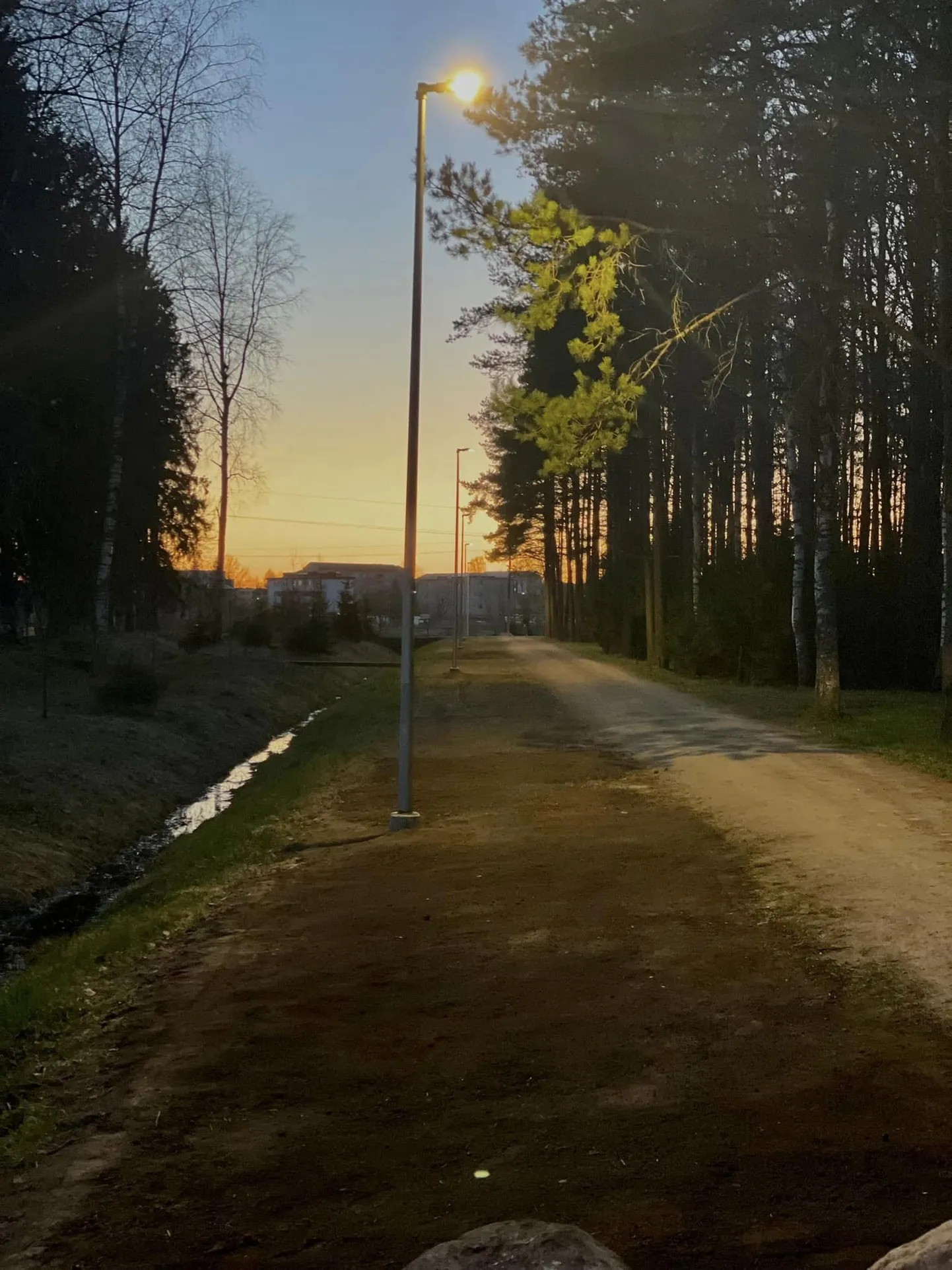 Kriilevälja küla kogukond ehitas poole kilomeetri jagu valgustust oma koduteele.