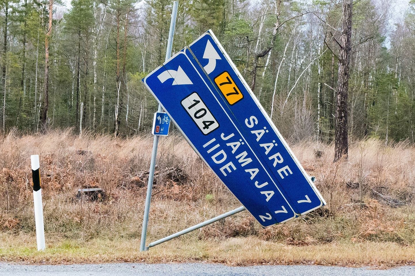 Tormikahjustused Saaremaal