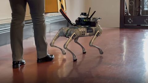 Loe ja vaata, kas robotkoerad võtavad pimedate juhtkoerte rolli üle
