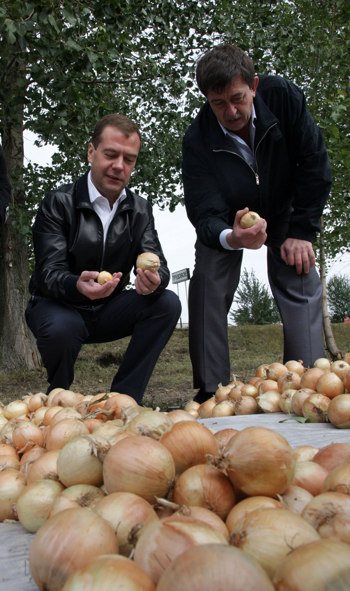Dmitri Medvedev tutvub sibulsaagiga Voroneži oblastis.