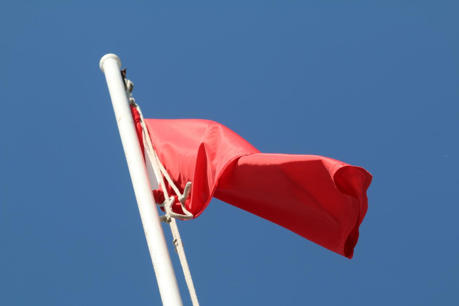 Suvepealinna keskrannas heisati sinivetikaohu tõttu punane lipp.