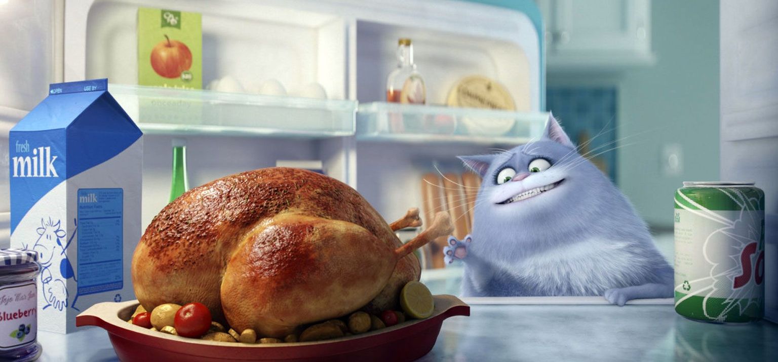 Mõnusalt matsakas kass Chloe koduses
paradiisis.