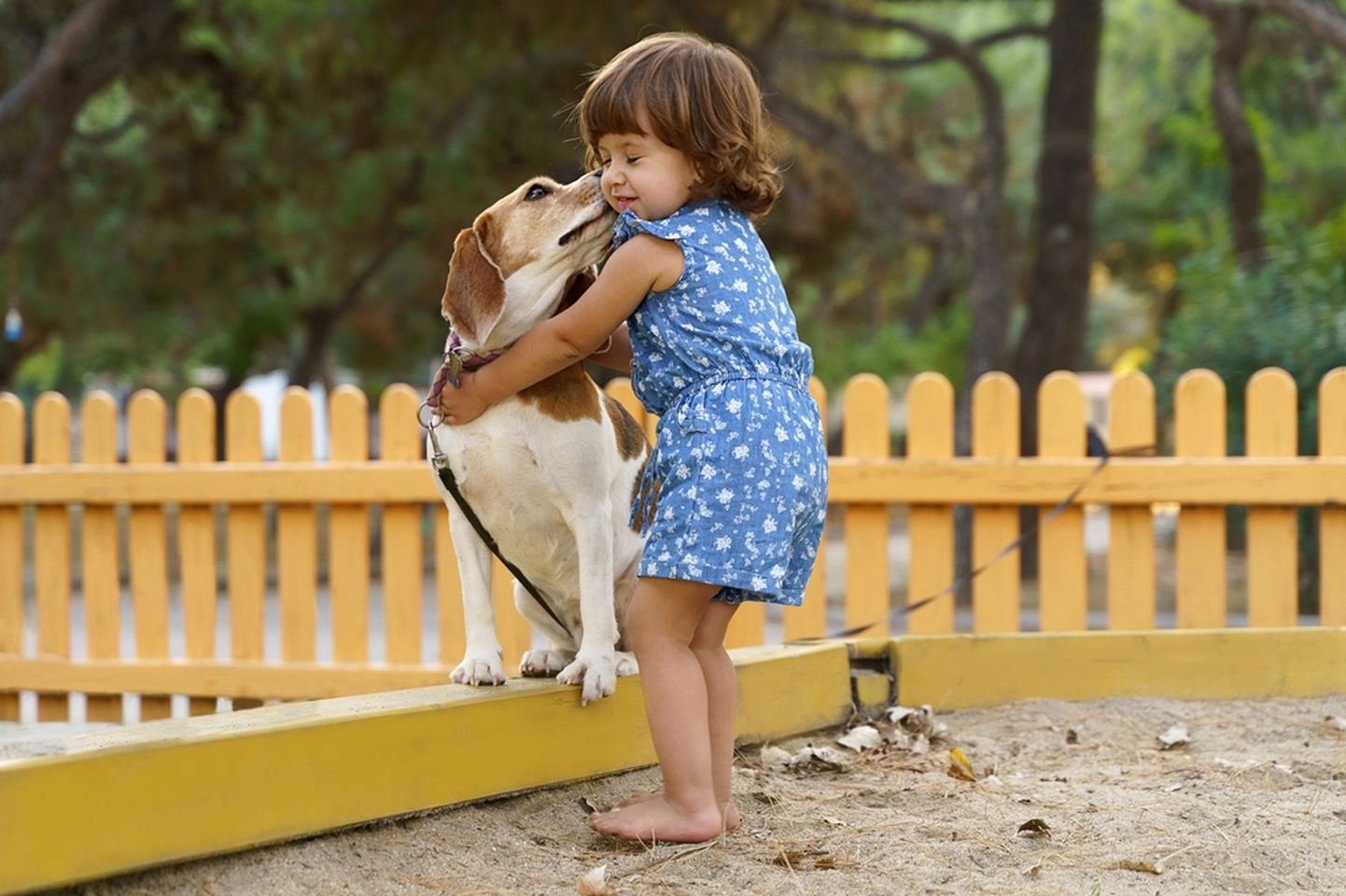 Koerad ja lapsed on enamasti suured sõbrad.