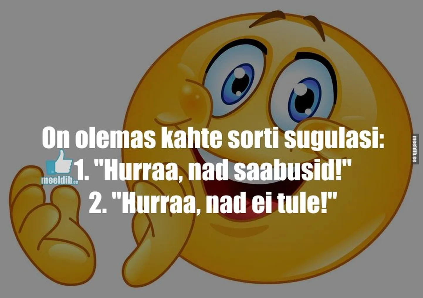 Artikli foto