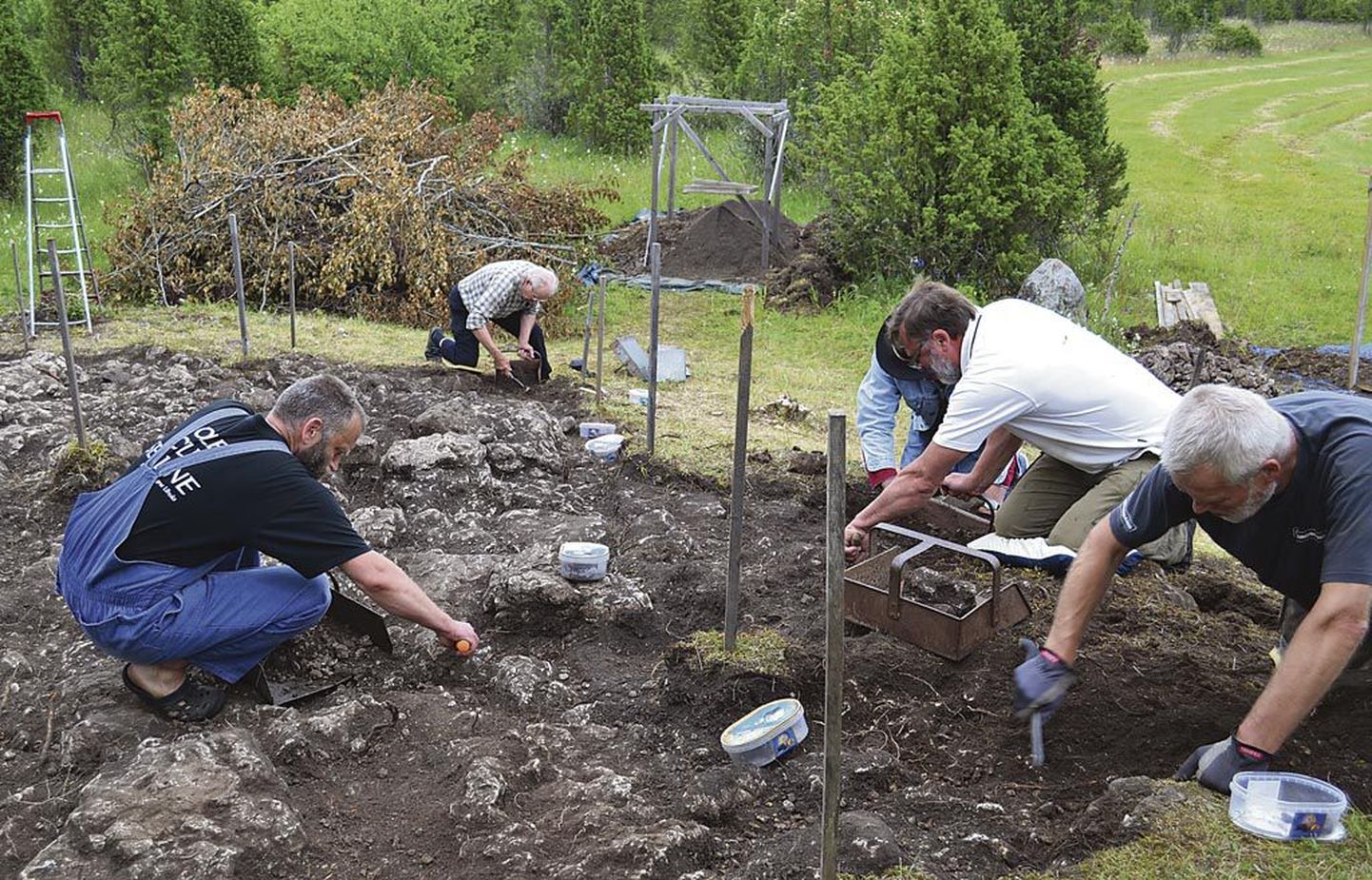 Kaevamistöid on Kuresel tehtud juba mitu aastat. Uurimistöid jätkatakse järgmisel suvelgi.