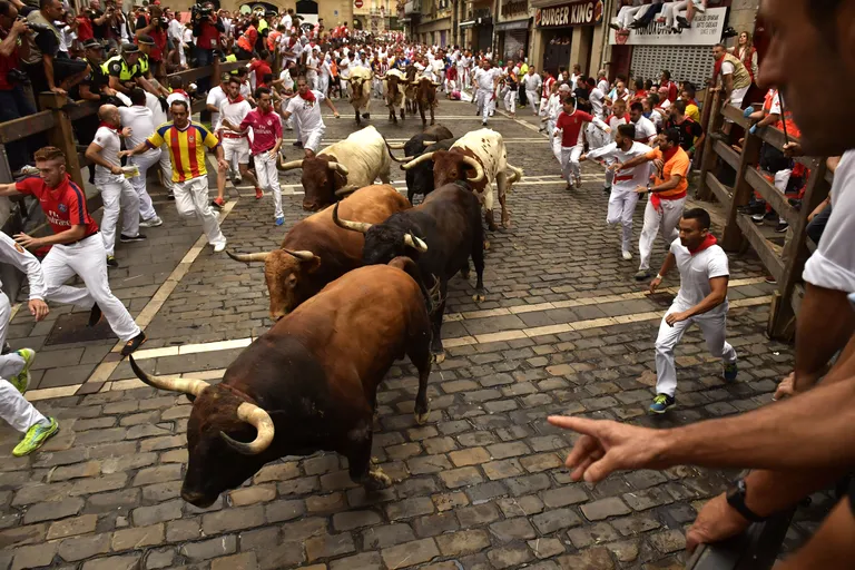 Pamplona härjajooks