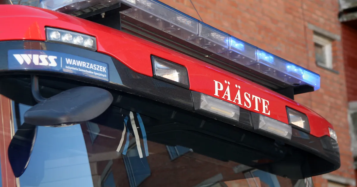 Haljala vallas põrkas auto vastu puud