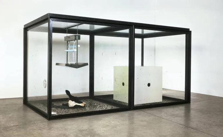 Deimiena Hērsta mākslas instalācija 2012. gadā Londonas mākslas muzejā "Tate Modern".