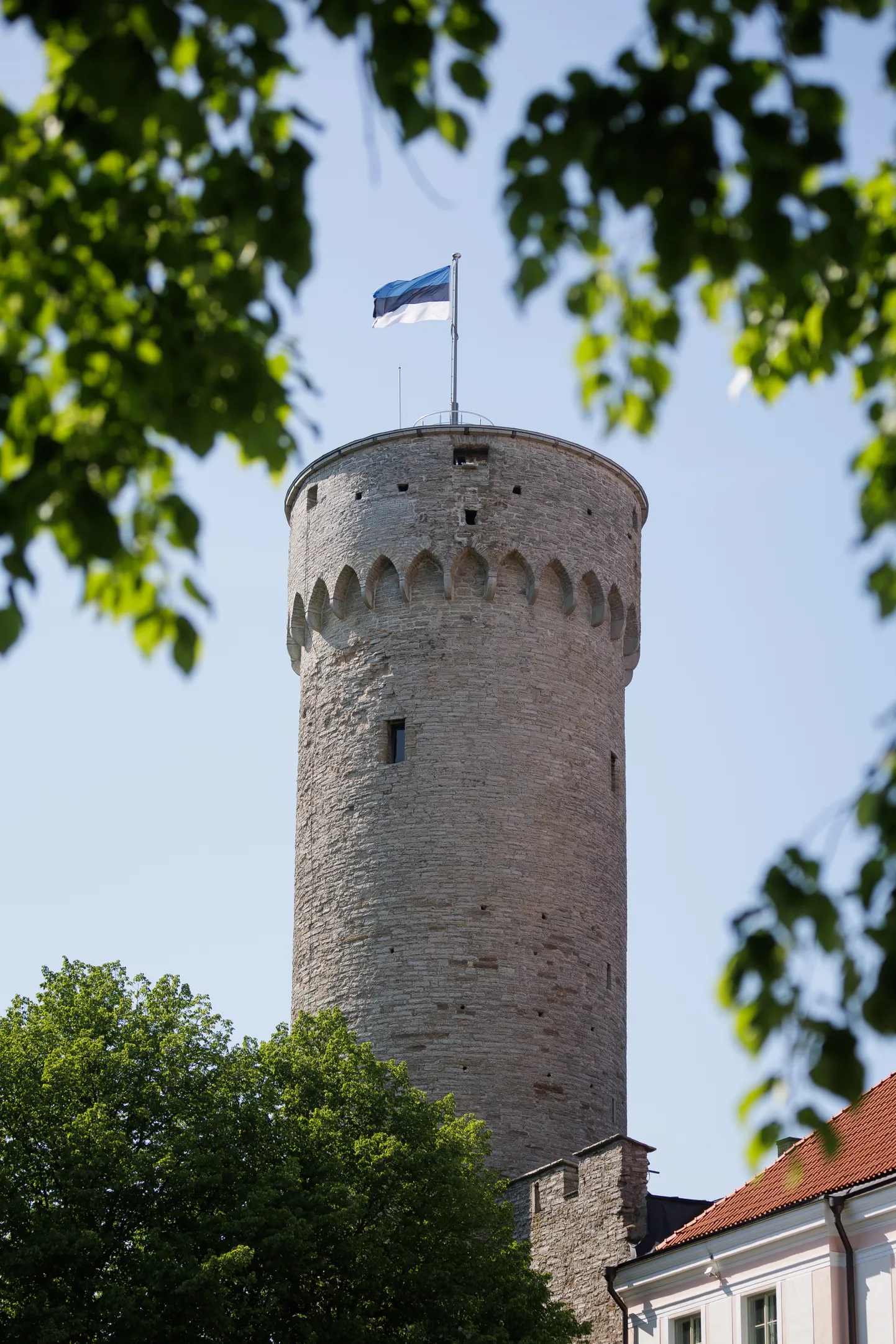 Vastupanuvõitlemise päeval heisatakse Eesti lipud.