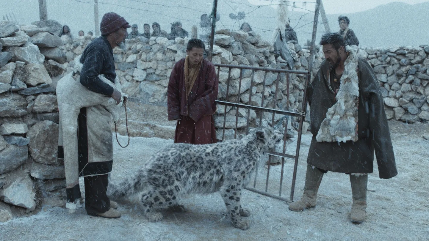 «Lumeleopard» – lõpuks siiski leppimine, urisev, aga siiski leppimine.