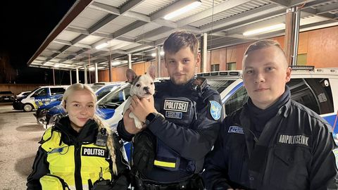 Фото ⟩ Вырвали из рук живодера: полицейские спасли собаку