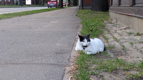 Svētdien gaiss iesils līdz +26 grādiem. Vietām iespējams negaiss