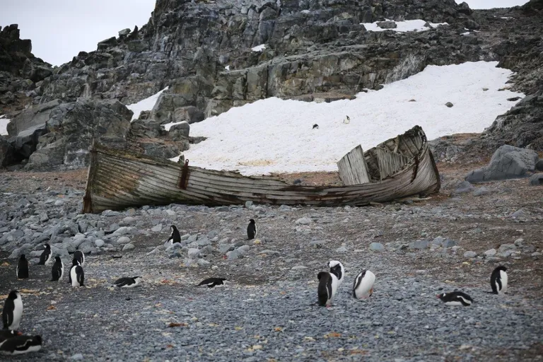 Лодка охотников за тюленями на Острове Полумесяца.