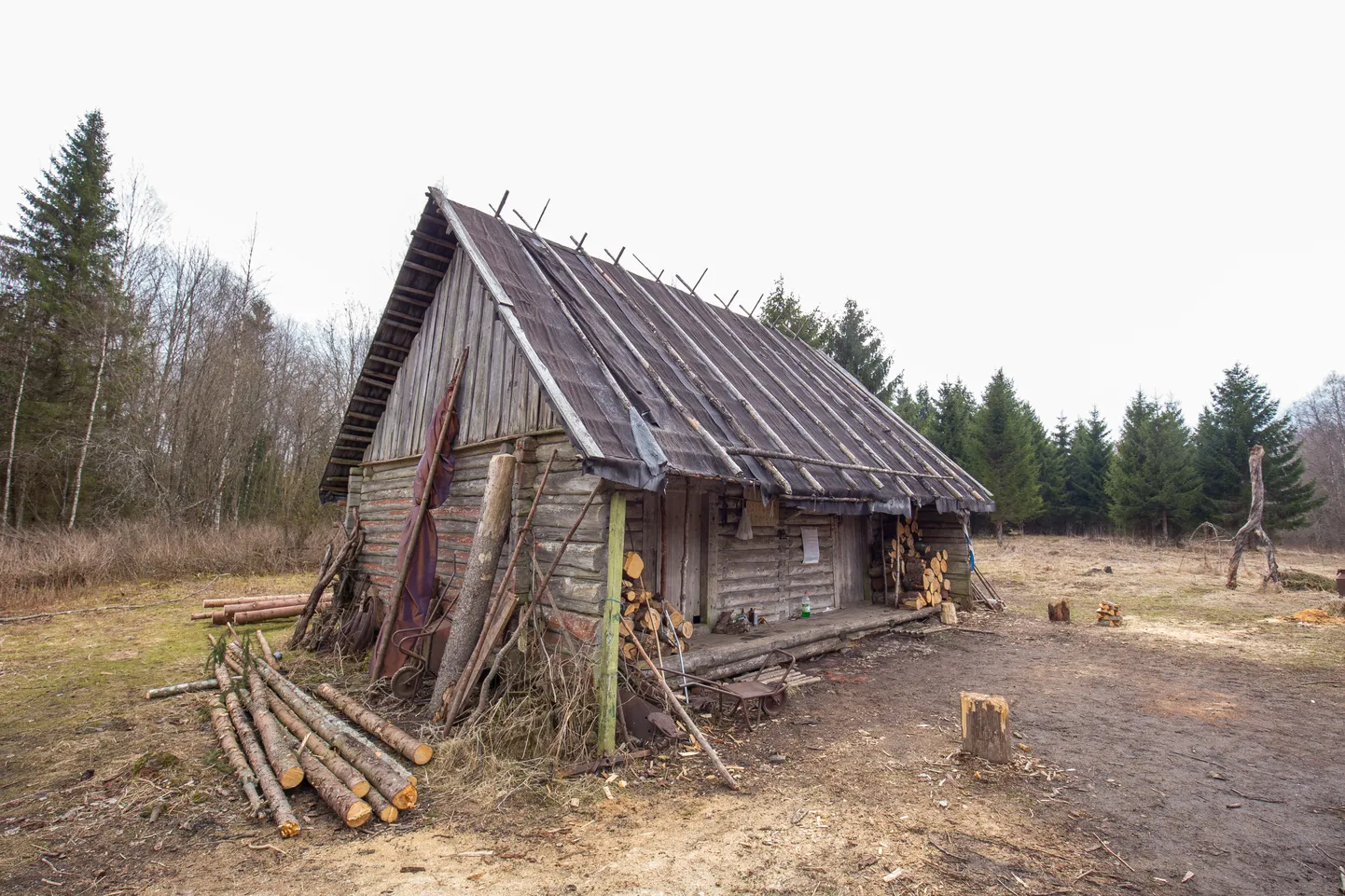 Kollassaare matkaonn