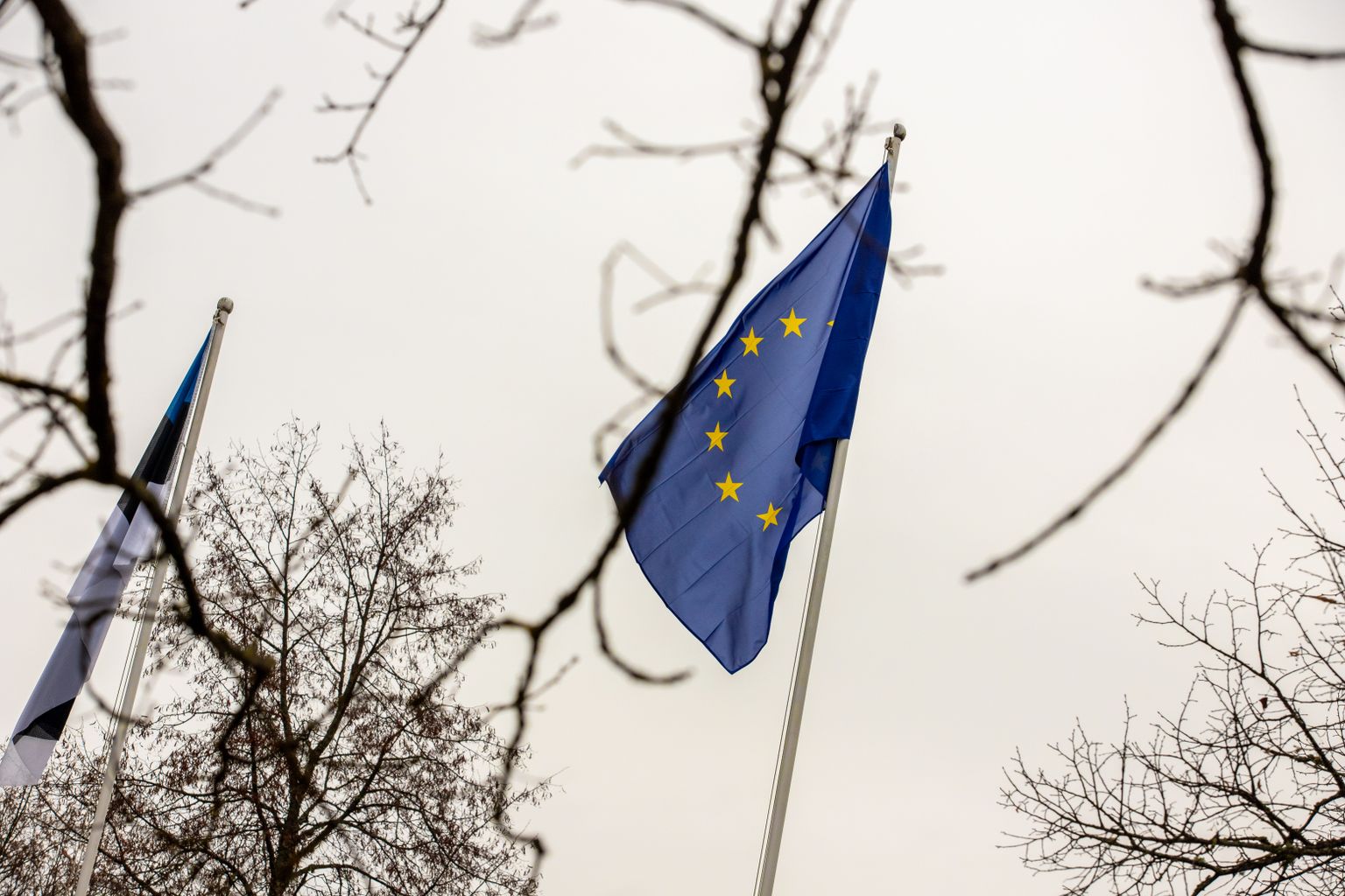 Euroopa Komisjoni Eesti esindus kinkis üle riigi 107 Euroopa Liidu lippu, vaid Saarde valda toodi lipp pidulikult kohale.