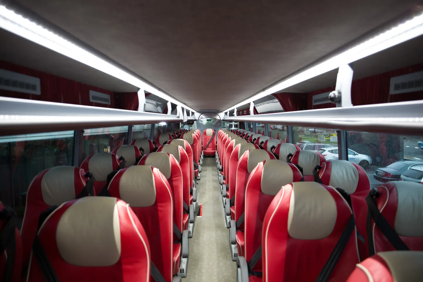 Superbus.