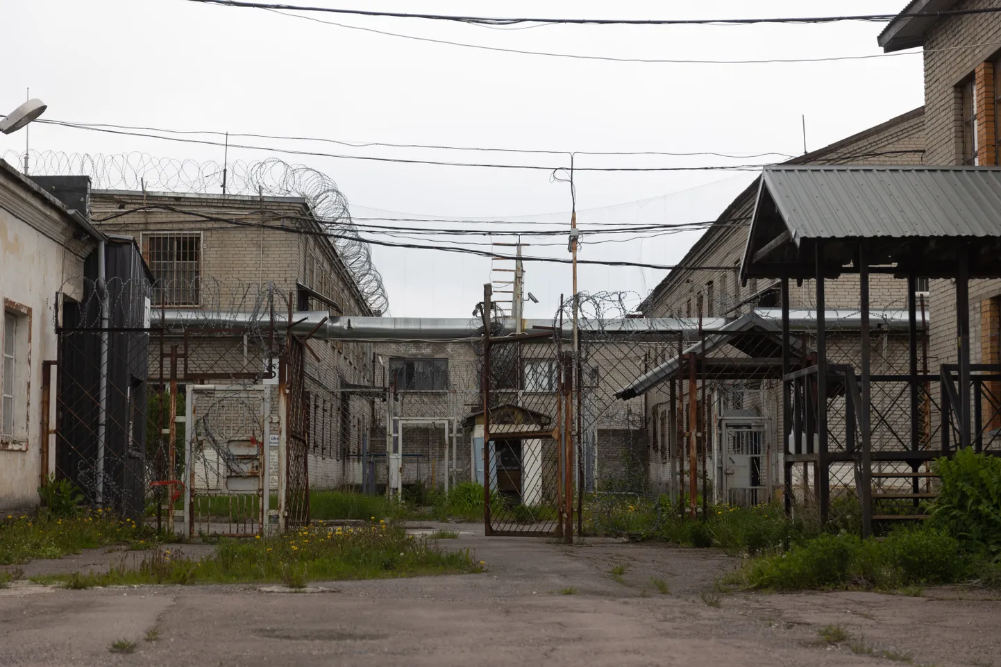 Фото статьи