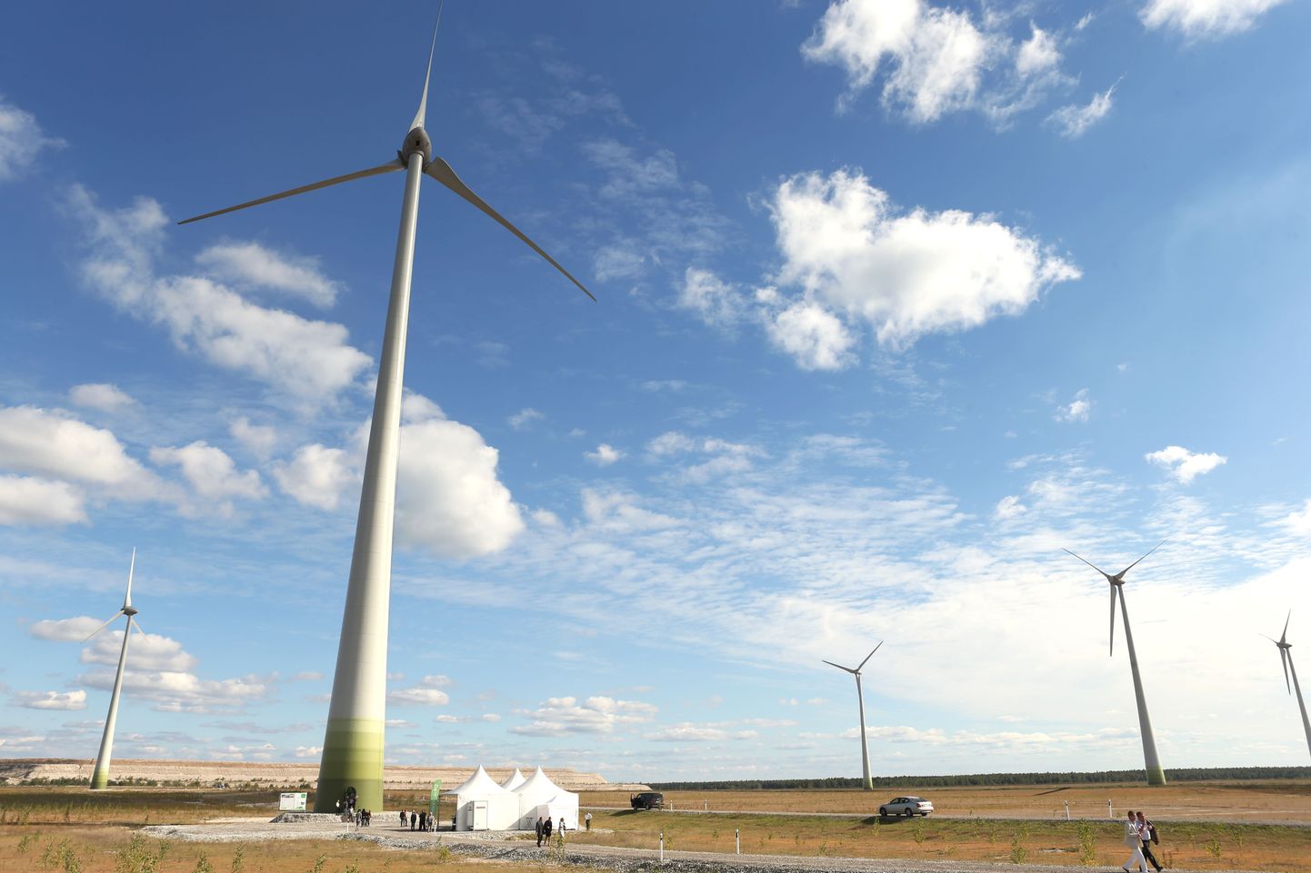 Eesti Energia toodab täna tuuleenergiat neljas tuulepargis. Lisaks pildil olevale Narva tuhavälja pargile veel Virtsus, Aulepas ja Paldiskis.