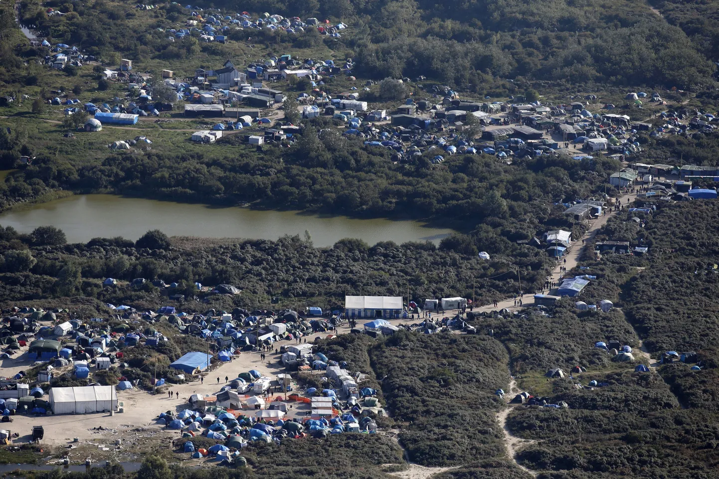 Calais`«džungel» linnulennult