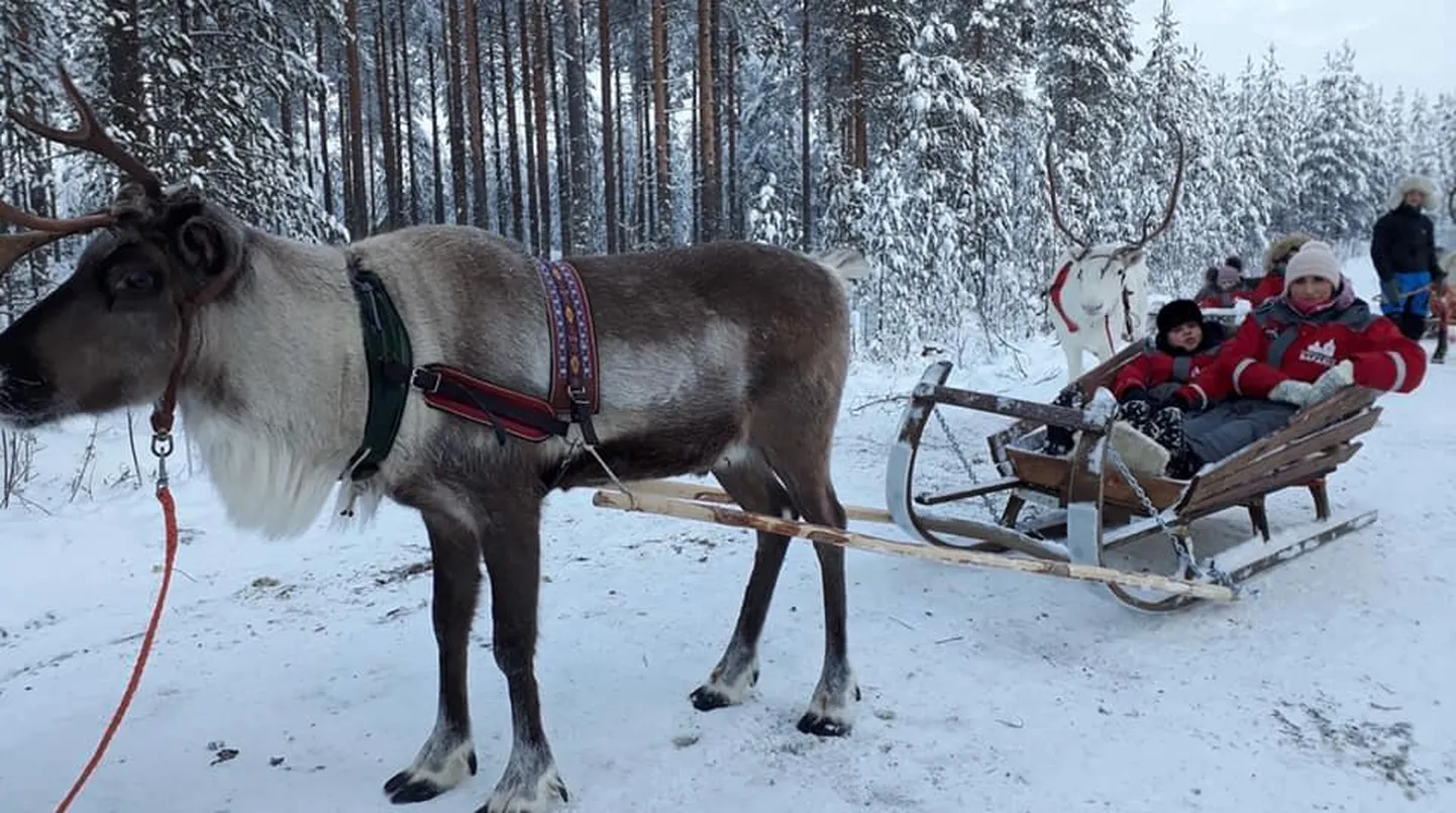 Valga muuseumi Väikeste Muuseumisõprade reis Lapimaale.