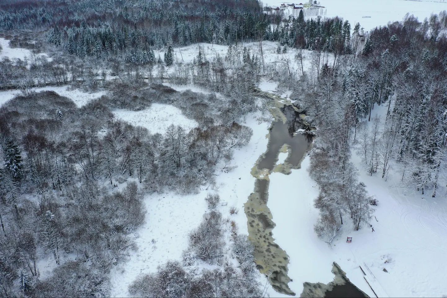 Väike Emajõgi täna õnnetuskoha lähedal.