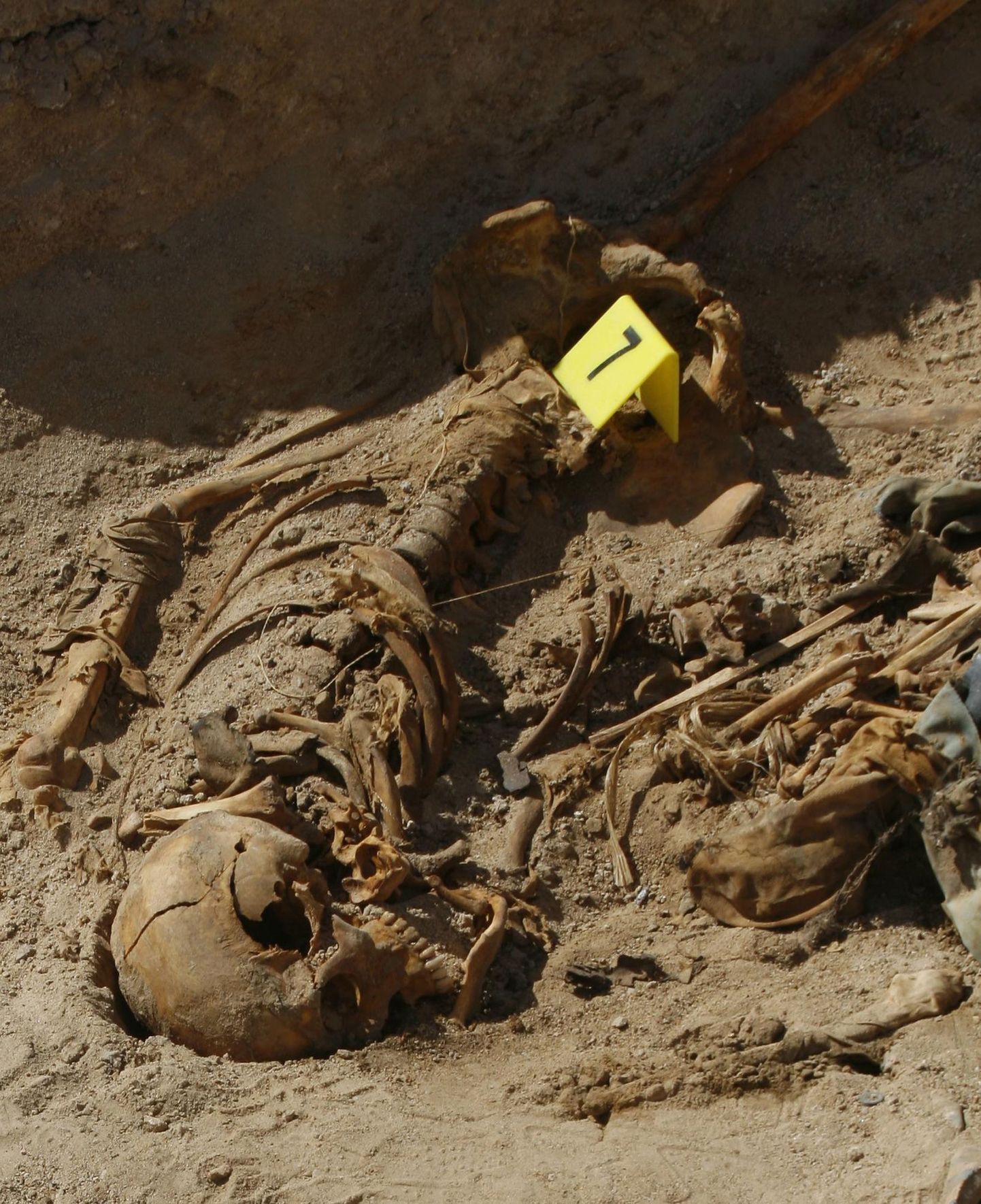 Bulgaariast leiti vampiiridena tapetute skeletid