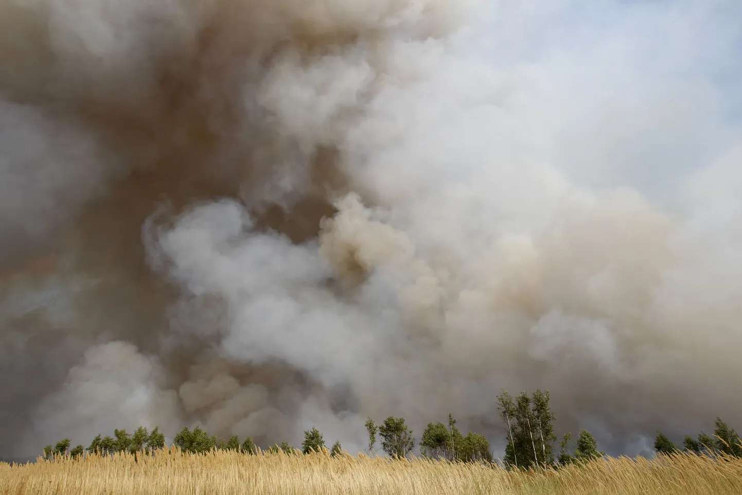 Metsapõleng Venemaal Rjazanis