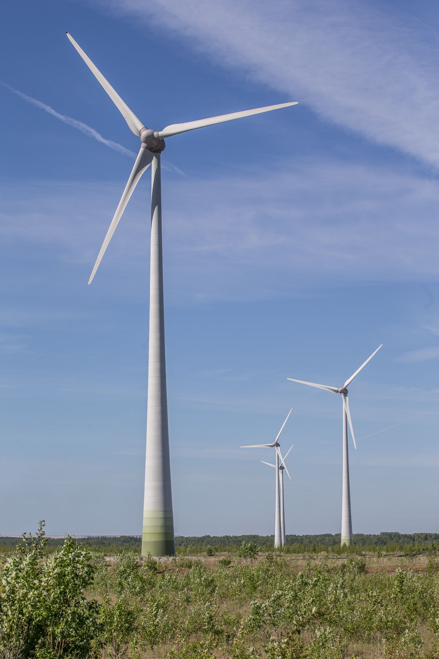 У "Eesti Energia" сейчас есть в Ида-Вирумаа ветропарк под Нарвой на зольном плато Балтийской электростанции.